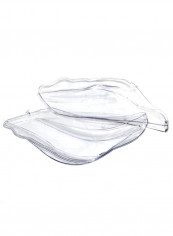 Pair Of Headlight Lens Cover reviews Pair Of Headlight Lens Cover