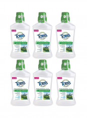 Pack Of 6 Wicked Fresh Cool Mountain Mint Mouthwash 6 x 16ounce
