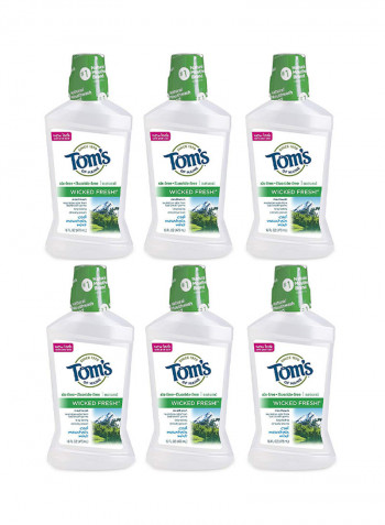 Pack Of 6 Wicked Fresh Cool Mountain Mint Mouthwash 6 x 16ounce