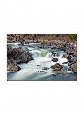A Treasure Cat Eyes Canvas Wall Art Multicolour 16 x 24inch