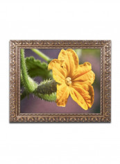 Cucumber Bloom Framed Wall Art Yellow/Green 11 x 14inch