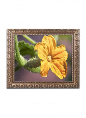 Cucumber Bloom Framed Wall Art Yellow/Green 11 x 14inch
