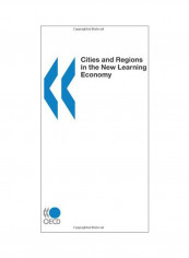 Cities And Regions In The New Learning Economy Paperback