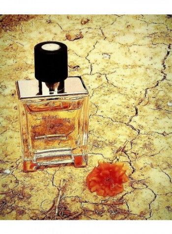 Terre D'Hermes EDT 200ml