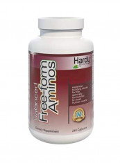 Balanced Free-Form Aminos Amino Acid Dietary Supplement - 240 Capsules