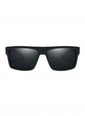 Men's Wayfarer Sunglasses