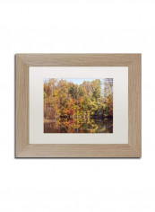 Autumn Quarry Birch Frame Acrylic Art Multicolour 11 x 14inch