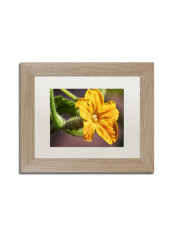 Cucumber Bloom Framed Wall Art Yellow/Green 11 x 14inch