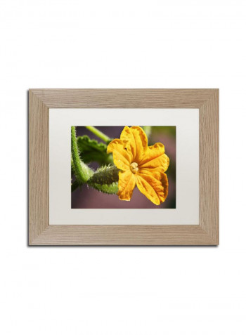 Cucumber Bloom Framed Wall Art Yellow/Green 11 x 14inch