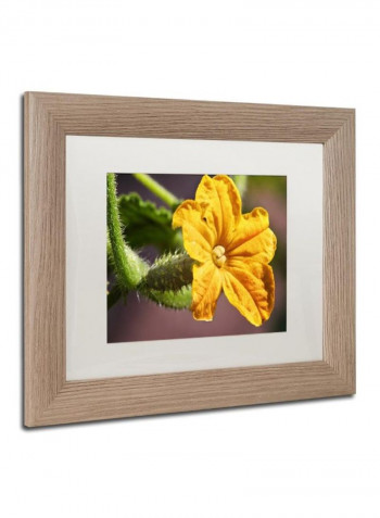 Cucumber Bloom Framed Wall Art Yellow/Green 11 x 14inch