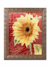 Ete Lady Bug Framed Wall Art Multicolour 11 x 14inch