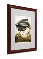 Great Blue Heron Matted Wooden Framed Wall Art Multicolour 16 x 20inch