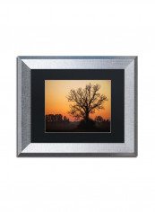 Vermilion Wall Art Multicolour 11 x 14inch