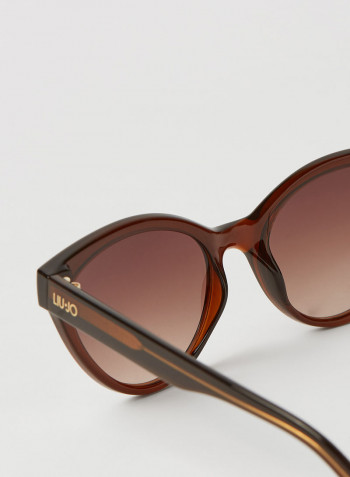 Women's Full Rim Injected Cat Eye Sunglasses - Lens Size: 55 mm