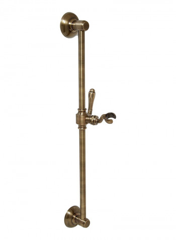 Retro Hand Shower Slide Bar With Roaring Gold 24inch