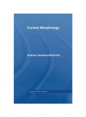 Current Morphology Paperback