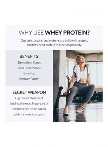 Whey Protein Dietary Supplement - Vanilla Flavor