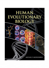 Human Evolutionary Biology Paperback 1