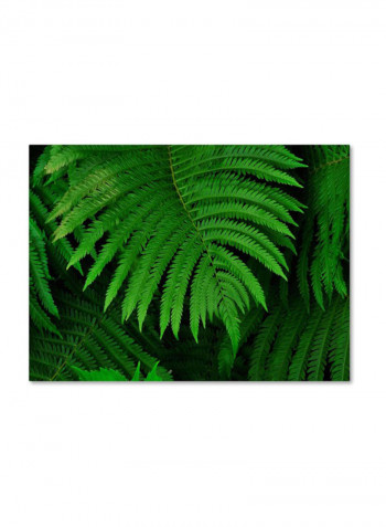 Healing Ferns Canvas Wall Art Green 14 x 19inch