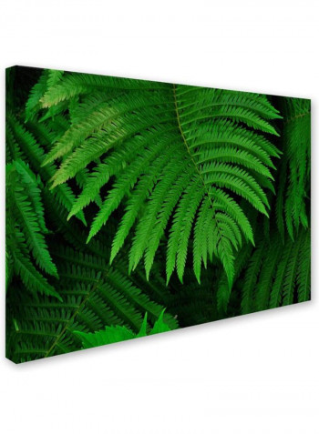 Healing Ferns Canvas Wall Art Green 14 x 19inch