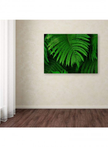 Healing Ferns Canvas Wall Art Green 14 x 19inch