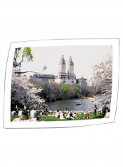 The Dakota And Central Park Unwrapped Wall Art Multicolour 36 x 48inch