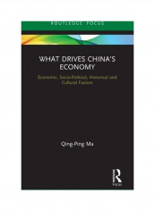 What Drives China's Economy: Economic, Socio-Political, Historical And Cultural Factors Hardcover English by Qing-Ping Ma - 2019