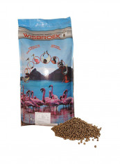 Extruded Complete Feed Floating Pellet Green 15kg