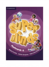 Super Minds Flashcards 6