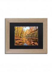 Beaver Creek 2 Birch Frame Wall Art Multicolour 11 x 14inch