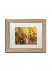 Beaver Creek 5 Birch Frame Wall Art Multicolour 11 x 14inch
