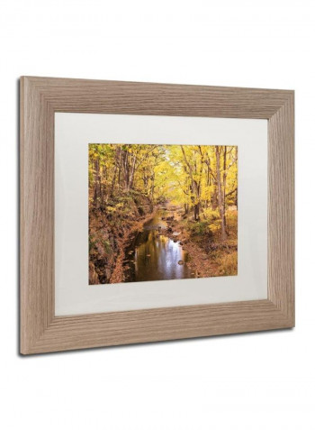 Beaver Creek 5 Birch Frame Wall Art Multicolour 11 x 14inch