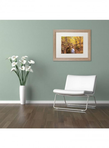 Beaver Creek 5 Birch Frame Wall Art Multicolour 11 x 14inch