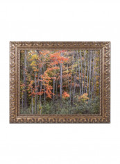 Autumn Tree Line Wall Art Multicolour 11 x 14inch
