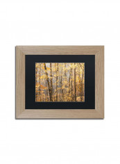 Autumn Treeline 2 Birch Frame Wall Art Multicolour 11 x 14inch