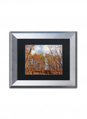 Beaver Creek 8 Wall Art Multicolour 11 x 14inch reviews Beaver Creek 8 Wall Art Multicolour 11 x 14inch