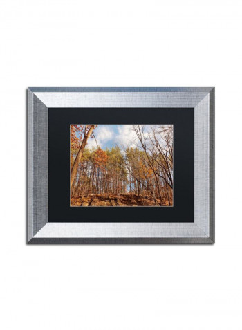Beaver Creek 8 Wall Art Multicolour 11 x 14inch