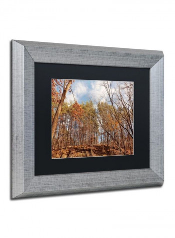 Beaver Creek 8 Wall Art Multicolour 11 x 14inch