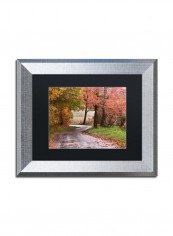 Forgotten Vermilion Silver Framed Wall Art Multicolour 11 x 14inch