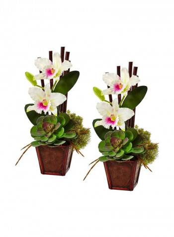 2-Piece Cattleya Orchid And Succulent Artificial Flower Arrangement Set Multicolour