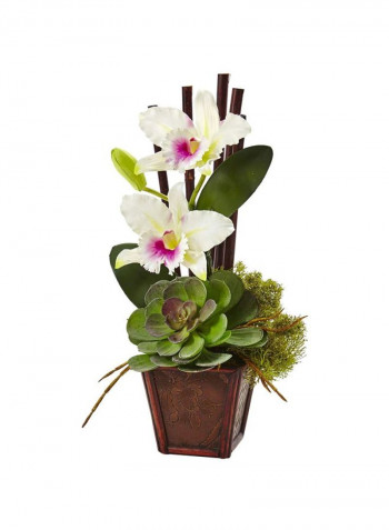 2-Piece Cattleya Orchid And Succulent Artificial Flower Arrangement Set Multicolour