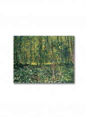 Trees And Undergrowth Canvas Wall Art Green/White 18 x 24inch