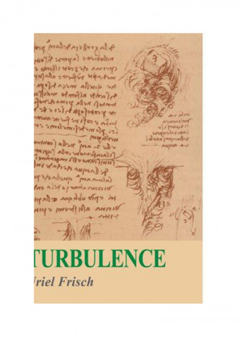 Turbulence Paperback