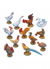 12-Piece Barnyard Birds Figure Set White/Brown/Green 5inch