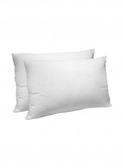2-Piece Bed Pillow Set Polyester White King