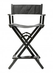 Portable Professional Director Black 112x 55x 53centimeter