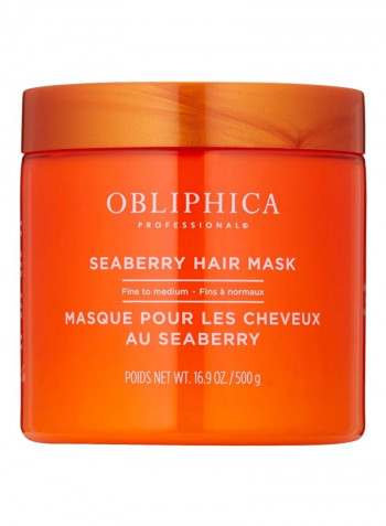 Seaberry Hair Mask 16.9ounce