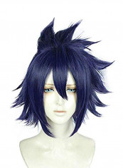 Anime Short Wig Blue/Purple