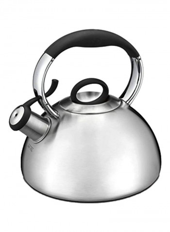 True Radiance Kettle Silver 7.75x9.25inch