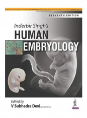 Human Embryology Paperback 11th Edition